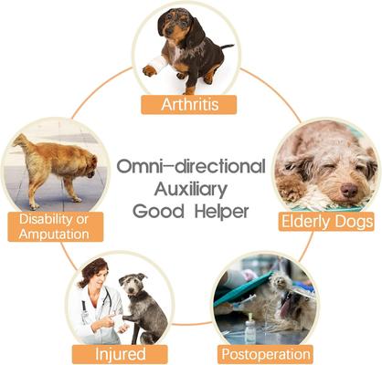 Show full view: NANAKI Lift Harness for Dogs, Grey, Small slide 7 of 9