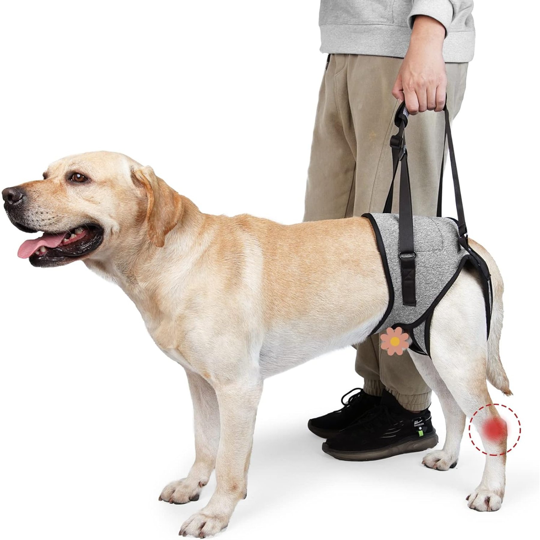 NANAKI Lift Harness for Dogs, Grey, Small