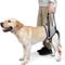 Show in main carousel: NANAKI Lift Harness for Dogs, Grey, Small slide 1 of 9