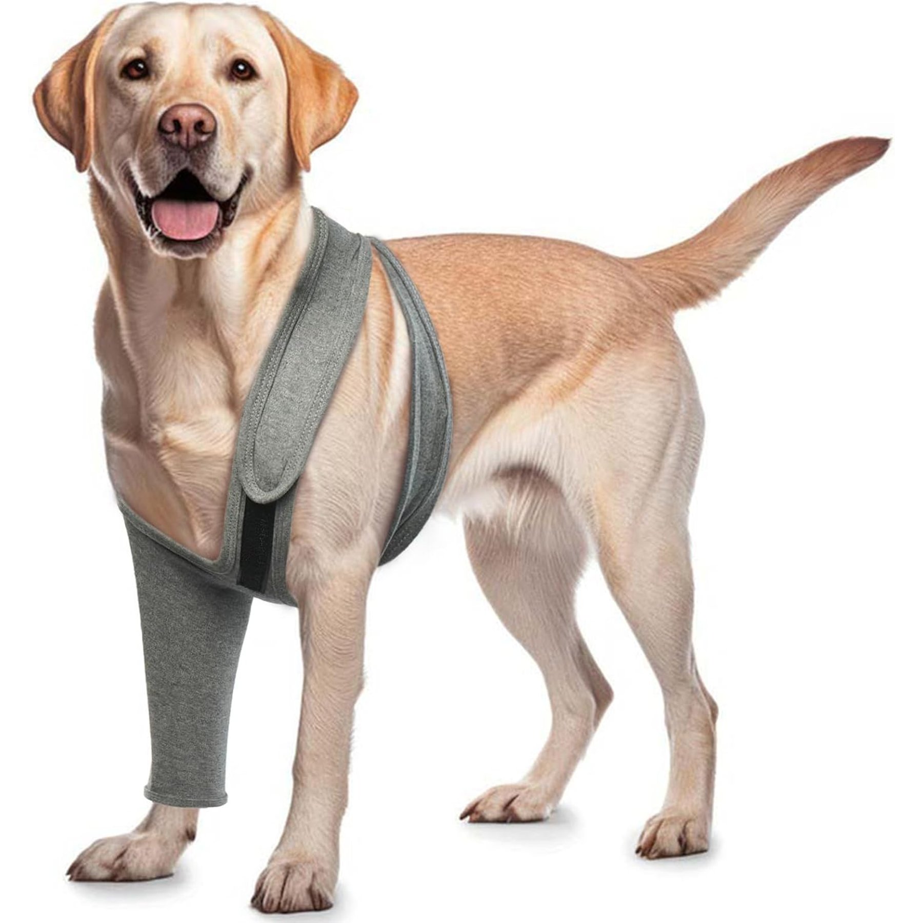 NANAKI Surgery Recovery Leg Sleeve Front for Dogs, Grey, X-Large