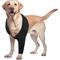 Show in main carousel: NANAKI Surgery Recovery Leg Sleeve Front for Dogs, Black, XX-Small slide 1 of 10