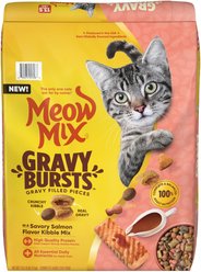 Meow Mix Gravy Burst Salmon Dry Cat Food, 13.5-lb bag