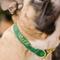 Show in main carousel: Zaley Designs Nice Green Checkered Cotton Dog Collar, Green, Large: 15 to 25-in neck, 1-in wide slide 3 of 5