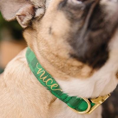 Show full view: Zaley Designs Nice Green Checkered Cotton Dog Collar, Green, Large: 15 to 25-in neck, 1-in wide slide 3 of 5