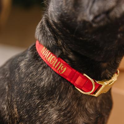 Show full view: Zaley Designs Naughty Checkered Cotton Dog Collar, Red, Large: 15 to 25-in neck, 1-in wide slide 3 of 4