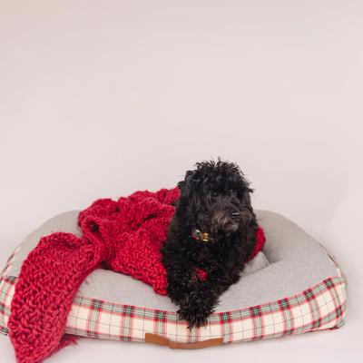 Show full view: Zaley Designs Buffalo Plaid Flannel Dog Collar, Red & Green, X-Small: 8 to 12-in neck, 5/8-in wide slide 4 of 5