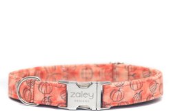 Zaley Designs Watercolor Pumpkins Cotton Dog Collar, Orange, X-Small: 8 to 12-in neck, 5/8-in wide