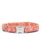 Show in main carousel: Zaley Designs Watercolor Pumpkins Cotton Dog Collar, Orange, Large: 15 to 25-in neck, 1-in wide slide 1 of 3