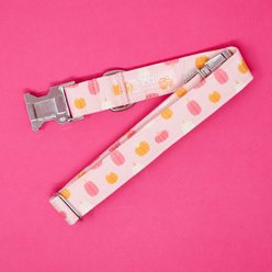 Zaley Designs Pumpkins Cotton Dog Collar, Pink & Orange, Large: 15 to 25-in neck, 1-in wide slide 2 of 5