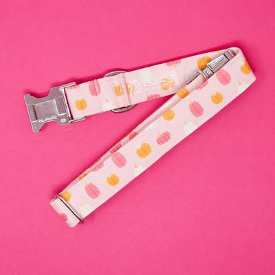 Show full view: Zaley Designs Pumpkins Cotton Dog Collar, Pink & Orange, Large: 15 to 25-in neck, 1-in wide slide 4 of 5