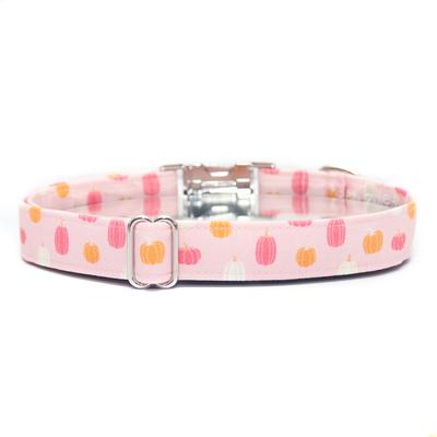 Show full view: Zaley Designs Pumpkins Cotton Dog Collar, Pink & Orange, Large: 15 to 25-in neck, 1-in wide slide 2 of 5