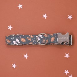 Zaley Designs Football Bows Cotton Dog Collar, Gray, Small: 10 to 14-in neck, 3/4-in wide slide 2 of 4