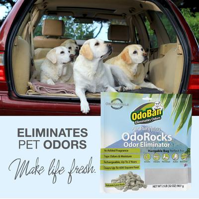 Show full view: OdoBan OdoRocks Odor Eliminator Deodorizer, 2-lb bag slide 5 of 8