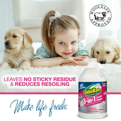 Show full view: OdoBan 3-in-1 Odor Eliminating Carpet Cleaner, 1-gal bottle slide 4 of 7