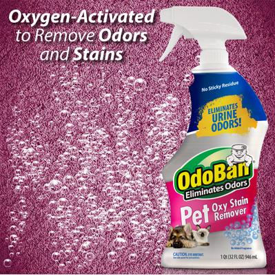 Show full view: OdoBan Pet Oxy Stain Remover, 32-fl oz bottle slide 3 of 9