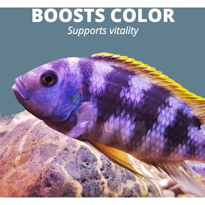 Tetra Cichlid Flakes Cichlid Fish Food, 5.65-oz jar