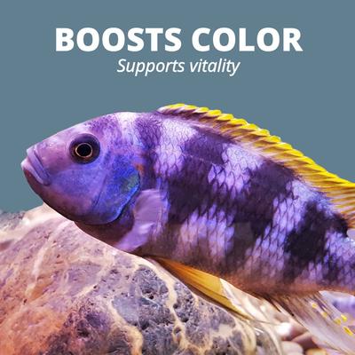 Show full view: Tetra Cichlid Flakes Cichlid Fish Food, 5.65-oz jar slide 7 of 11