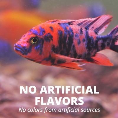 Show full view: Tetra Cichlid Flakes Cichlid Fish Food, 5.65-oz jar slide 6 of 11