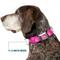 Show in main carousel: Buckle-Down Mattel Barbie Ponytail Silhouette Icon Dog Collar, Small: 13 to 17-in neck, 1.5-in wide slide 7 of 8