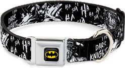 Buckle-Down DC Comics Batman The Dark Knight & Joker Dog Collar, Small: 13 to 17-in neck, 1.5-in wide