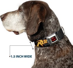 Buckle-Down DC Comics Robin Dog Collar, Large: 20 to 31-in neck, 1.5-in wide slide 2 of 8
