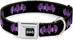 Buckle-Down DC Comics Batman Signal Dog Collar, Medium: 11 to 16.5-in neck, 1-in wide