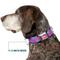 Show in main carousel: Buckle-Down Mattel Barbie B Icon Dog Collar, Medium: 16 to 23-in neck, 1.5-in wide slide 7 of 8