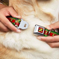 Buckle-Down DC Comics Robin Action Pose Logo Stripe Dog Collar, Small: 9.5 to 13-in neck, 1-in wide slide 2 of 8