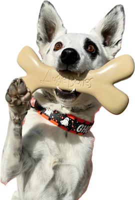 Show full view: Augie Bones Mini Bacon Plant Based Tough Dog Chew Toy, Brick Red, 6.5-in, 1 count slide 3 of 3