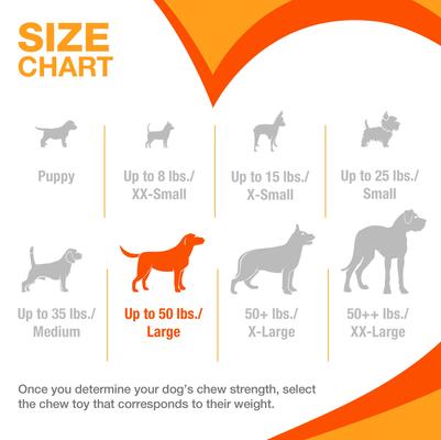 Show full view: Nylabone Strong Chew Real Bacon, Bison, Venison, Beef & Chicken Dog Chew Toy Bundle, Large, 4 count slide 6 of 11