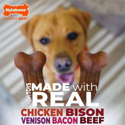 Show full view: Nylabone Strong Chew Wishbone Real Bacon Dog Chew Toy, Large slide 9 of 11