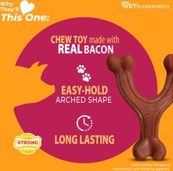 Nylabone Strong Chew Wishbone Real Bacon Dog Chew Toy, Large slide 2 of 9