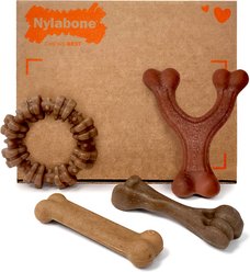 Nylabone Strong Chew Real Bacon, Bison, Venison, Beef & Chicken Dog Chew Toy Bundle, Small, 4 count