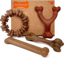 Nylabone Strong Chew Real Bacon, Bison, Venison, Beef & Chicken Dog Chew Toy Bundle, Large, 4 count