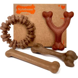 Nylabone Strong Chew Real Bacon, Bison, Venison, Beef & Chicken Dog Chew Toy Bundle, Large, 4 count