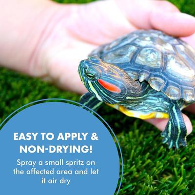 Show full view: PetSilver Wound Spray for Reptiles, 2-oz bottle slide 7 of 9