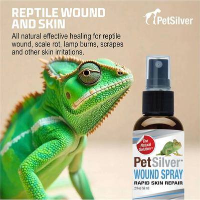 Show full view: PetSilver Wound Spray for Reptiles, 2-oz bottle slide 6 of 9