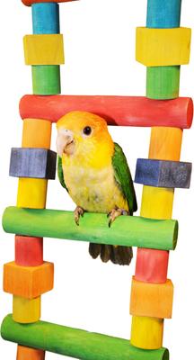 Show full view: A&E Cage Company Medium Wood Ladder Bird Toy, Multicolor, Medium slide 2 of 2