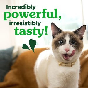 Greenies Feline Oven Roasted Chicken Flavor Adult Natural Dental Cat Treats, 4.6-oz bag