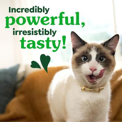 Show full view: Greenies Feline Tempting Tuna Flavor Adult Natural Dental Cat Treat, 9.75-oz tub slide 10 of 13