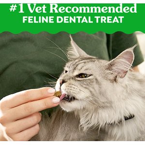 Greenies Feline Oven Roasted Chicken Flavor Adult Natural Dental Cat Treats, 4.6-oz bag