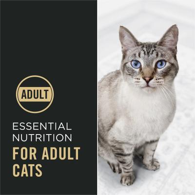 Show full view: Purina Pro Plan Chicken & Rice Formula with Probiotics High Protein Cat Food, 7-lb bag slide 6 of 13