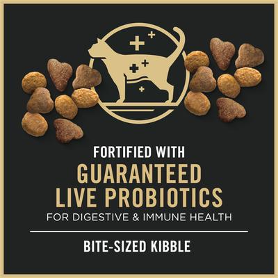 Show full view: Purina Pro Plan Adult Salmon & Rice Formula Dry Cat Food, 16-lb bag slide 5 of 12