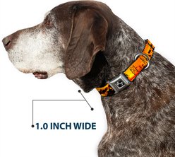 Buckle-Down Golden Sunset Dog Collar, Medium: 11 to 16.5-in neck, 1-in wide slide 2 of 8