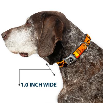 Show full view: Buckle-Down Golden Sunset Dog Collar, Medium: 11 to 16.5-in neck, 1-in wide slide 6 of 8