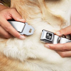 Buckle-Down Golden Sunset Dog Collar, Small: 13 to 17-in neck, 1.5-in wide slide 2 of 8