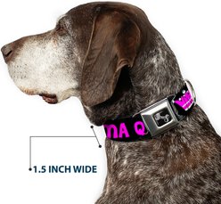 Buckle-Down Drama Queen Dog Collar, Medium: 16 to 23-in neck, 1.5-in wide slide 2 of 8