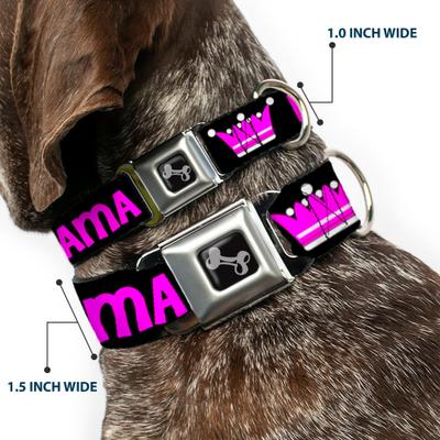 Show full view: Buckle-Down Drama Queen Dog Collar, Small: 13 to 17-in neck, 1.5-in wide slide 2 of 8