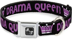 Buckle-Down Drama Queen Dog Collar, Large: 15 to 24-in neck, 1-in wide
