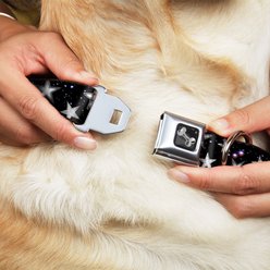 Buckle-Down Glowing Stars in Space Dog Collar, Small: 9.5 to 13-in neck, 1-in wide slide 2 of 8